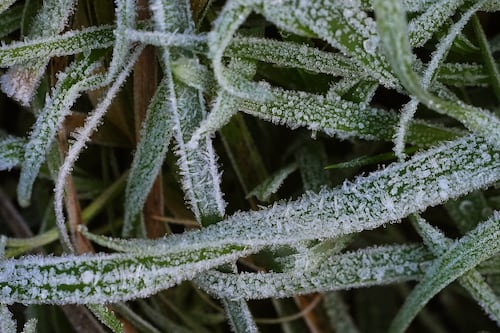 Met Éireann issues nationwide low temperature and ice warning as Arctic air mass approaches