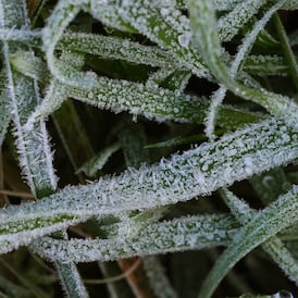 Met Éireann issues nationwide low temperature and ice warning as Arctic air mass approaches