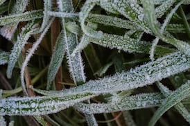Met Éireann issues nationwide low temperature and ice warning as Arctic air mass approaches