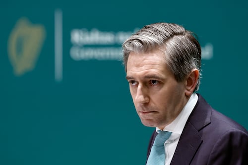 People with information on Epstein Ireland allegations should go to gardaí, Harris says